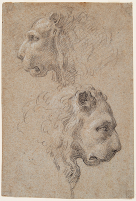 Two Lions' Heads