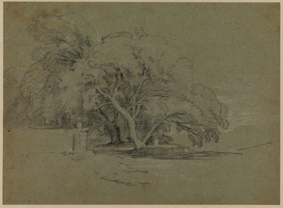 Landscape with spreading Trees