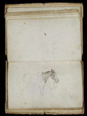 Studies and Designs done in Rome in the Year 1752, p. 41: A Horse