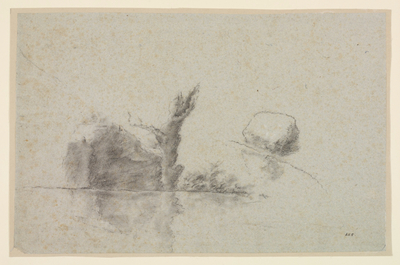 Study of detached Rocks and the Trunk of a Tree